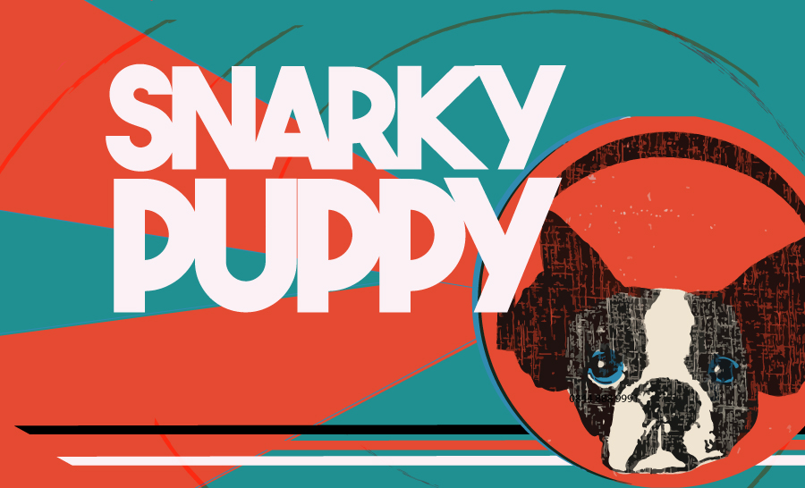 Twotime Grammywinning ensemble Snarky Puppy announce biggest ever UK